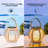 2-Pack Solar Lanterns for Outdoor Use