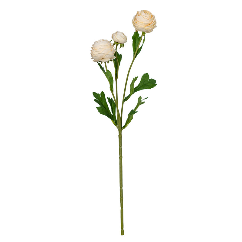 Fleurs de rose bouton d'or persan Audet, Champagne