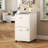 2 Drawer Rolling File Cabinet on Wheels, White Mobile Two Drawer Filing Cabinet with Lock, Small Files Cabinets for Under Desk, Metal Filing Cabinets for Letter Size Folders-1479775436