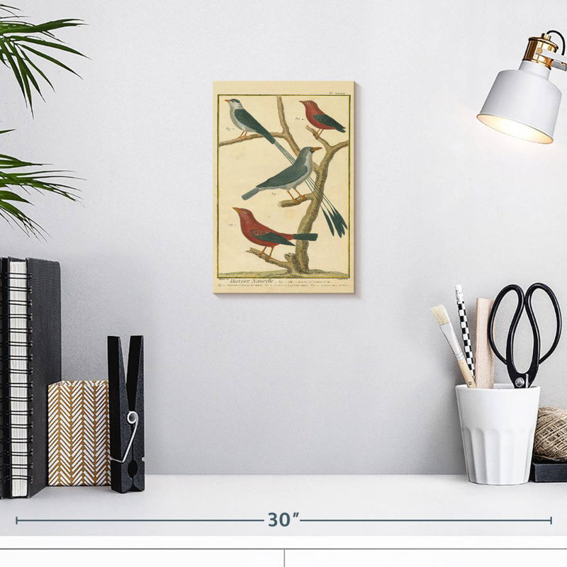 Brampt Bird Drawing I, 12" H x 8" W