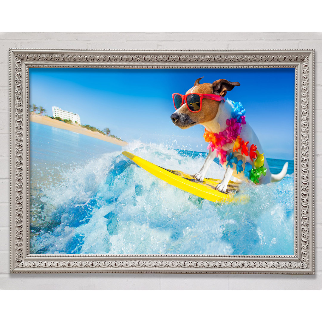 Hund mit Sonnenbrille beim Surfen - Einzelner Bilderrahmen Kunstdrucke