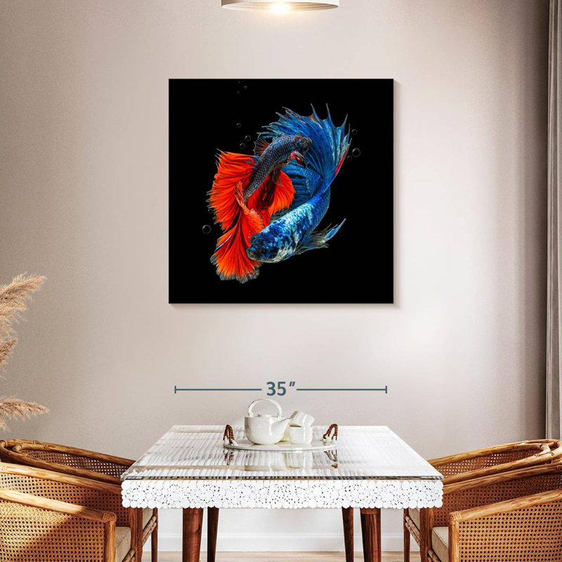 Brametta, poisson Betta en Thaïlande, H 36 po x l 36 po