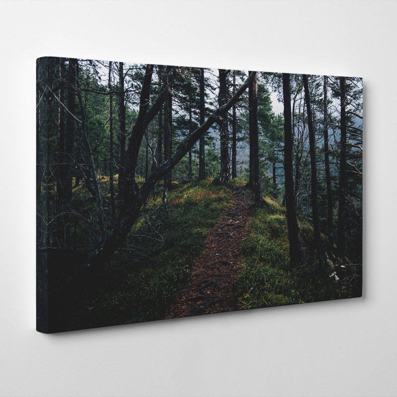 Wrapped Canvas Print, 35cm H x 50cm W