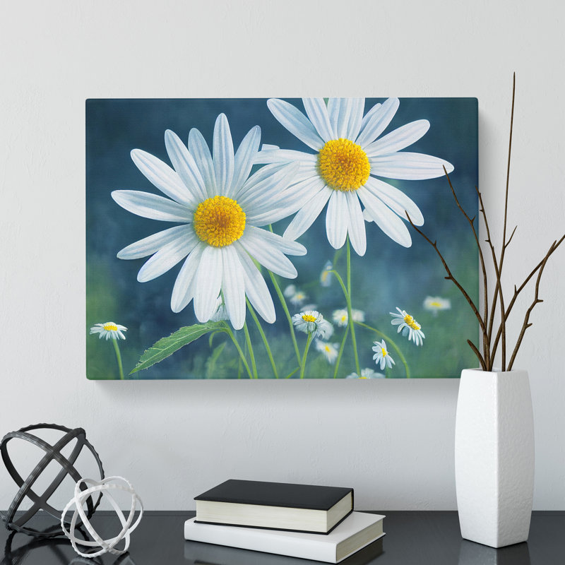 Pretty Daisy Flowers - Wrapped Canvas Print, 50cm H x 76cm W x 3cm D