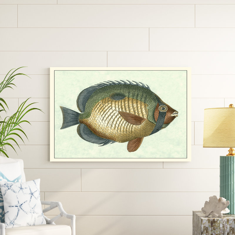 Papillon poisson I, H 32 po x l 48 po x P 1,25 po