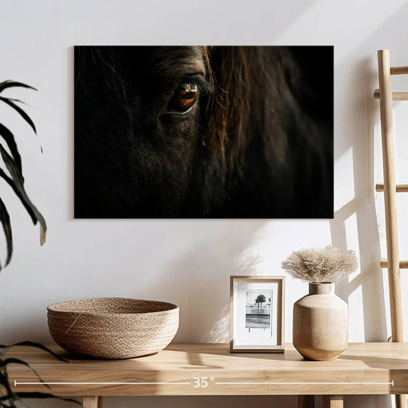 Gros plan sur le visage d'un cheval ronce, H 8 po x l 12 po