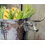 Western Stainless Steel Ice Bucket