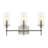Chuperosa Bohemian Farmhouse Iron/Glass LED Vanity-67637907-119338788