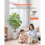 Arbre artificiel artificiel Dracaena avec plante verte-948328348
