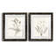 «Neutral Botanical Study VIIP», reproduction d'art encadrée - prête à être accrochée-558944179-558944181-559107761