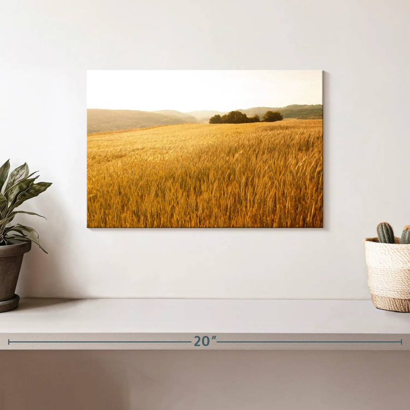 Alvord Tranquil Wheat Fields