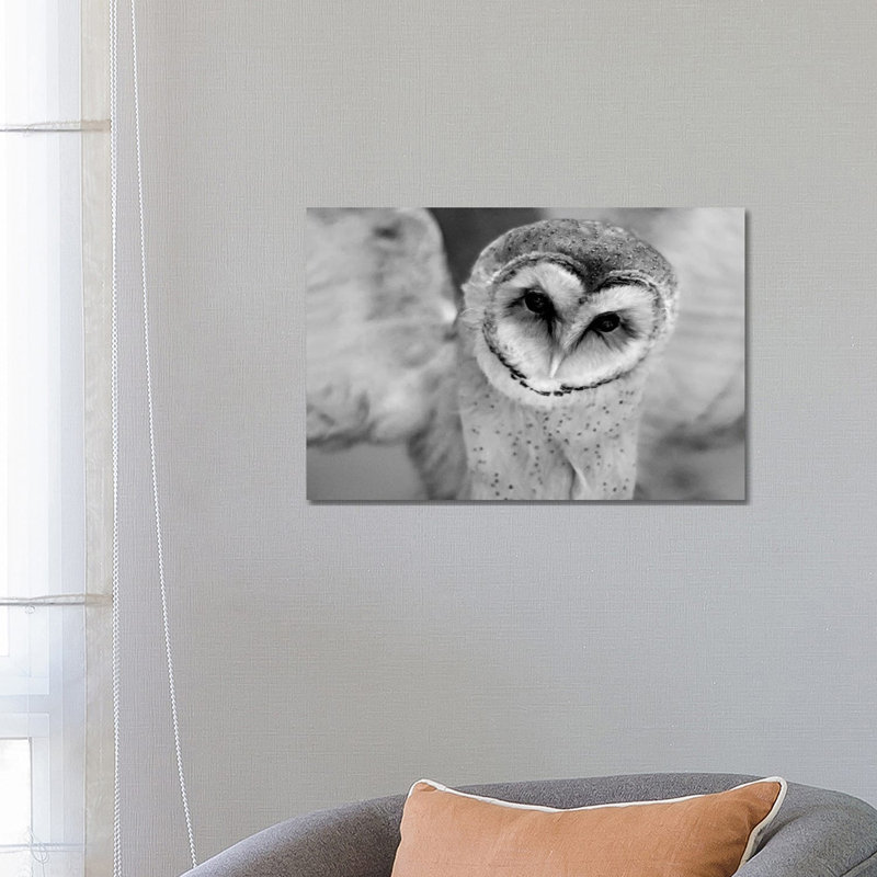 Cute Owl Wings Spread by Leah Straatsma - Wrapped Canvas Gallery-Wrapped Canvas Giclée, 66.04 cm H x 45.72 cm W x 1.91 cm D