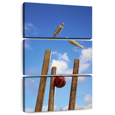 Sireci Outdoor Cricket