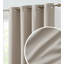 Doublure à œillets Grainger Cooper-74860751-74860753