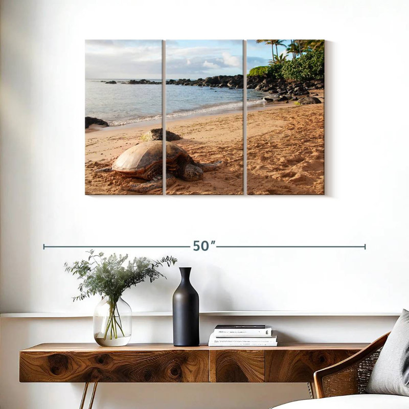 Brampt Turtle Beach, 24" H x 38" W