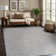 Nadene Gray Indoor Area Rug