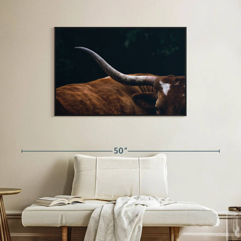 Vache Texas Longhorn, H 27 po x l 40 po