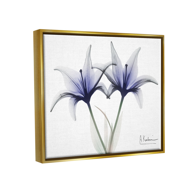 Photographie de fleurs de lis aux rayons X sur toile, H 25 po x l 31 po x P 1,7 po, Cadre flottant métallique doré