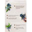 Boutonnières Ling's Moment en Rêve Violet Éthéré-264252930