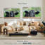 Vache Nosy Ranch-107988236