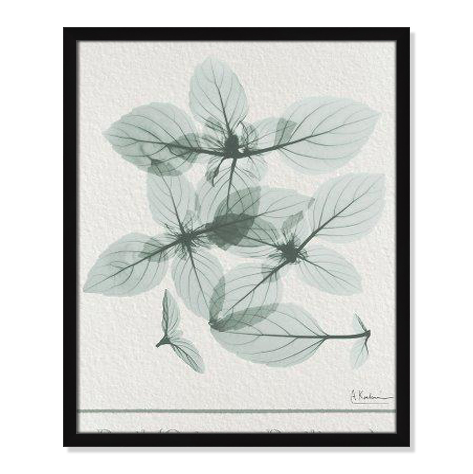 Jeanette "Basil Ocimum Basilicum" Painting, 25.5" H x 21.5" W x 1.25" D, Satin Black Framed Paper
