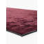 Rapture Area Rug in Red-1582140121