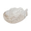 Decorative Bowl Resin Polyresin Wavy Shell Design Coastal Style for Home Office Bedroom Living Room Centerpiece Display - 5" Ivory & Tan