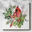 Cardinal Holly Christmas Collection C-479613740