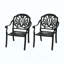 Chaise de patio en fonte d'aluminium 2 pièces avec structure et coussins-1064252888