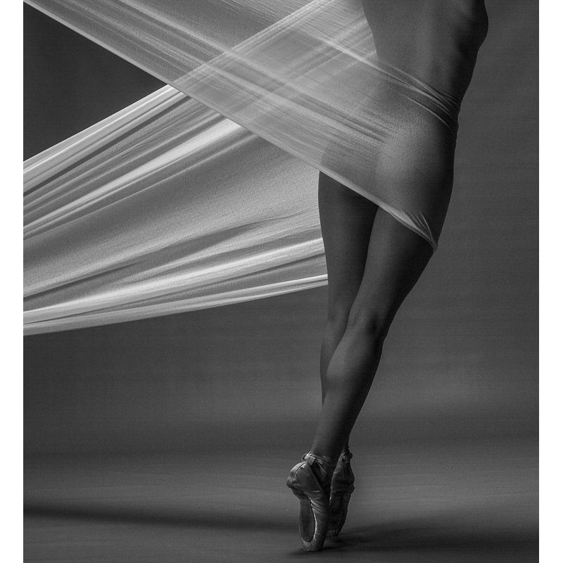 Wrapped Canvas Print, 91.44 cm H x 60.96 cm W