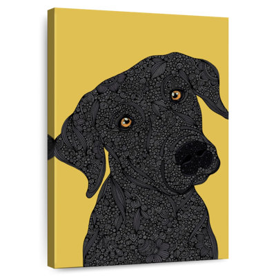 Labrador noir Brampt