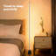 Lampe sur pied d'angle à DEL avec haut-parleur, application de lumière DEL alimentée par USB et télécommande, IC + RVB synchronisée avec musique changeante de couleur, minuterie, lampe sur pied en mode musique, convient au salon, à la chambre à coucher, aux jeux (la télécommande n'inclut pas les piles)