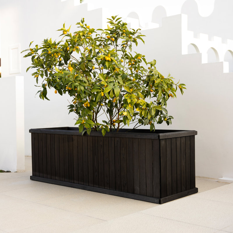 Boîte à fleurs rectangulaire en cèdre massif avec trous de drainage Barros, Noir, H 22,5 po x l 72 po x P 22,5 po