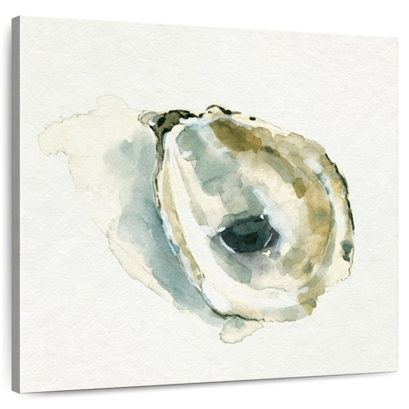 Brampt Old Salt Shell I, 36" H x 36" W