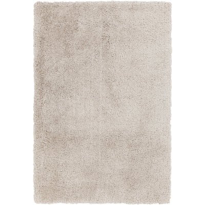 Goddess Area Rug in Begie