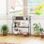 78cm H x 69cm W Plant Stand