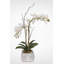 Orchid Faux Floral Arrangement in Pot
