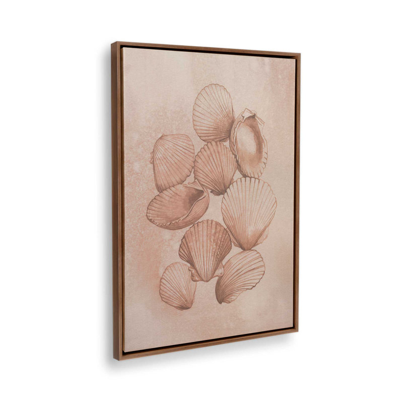 «Saltwater Shell Study II» par Grace Popp, reproduction d'art sur toile, H 36 po x l 24 po, Brun