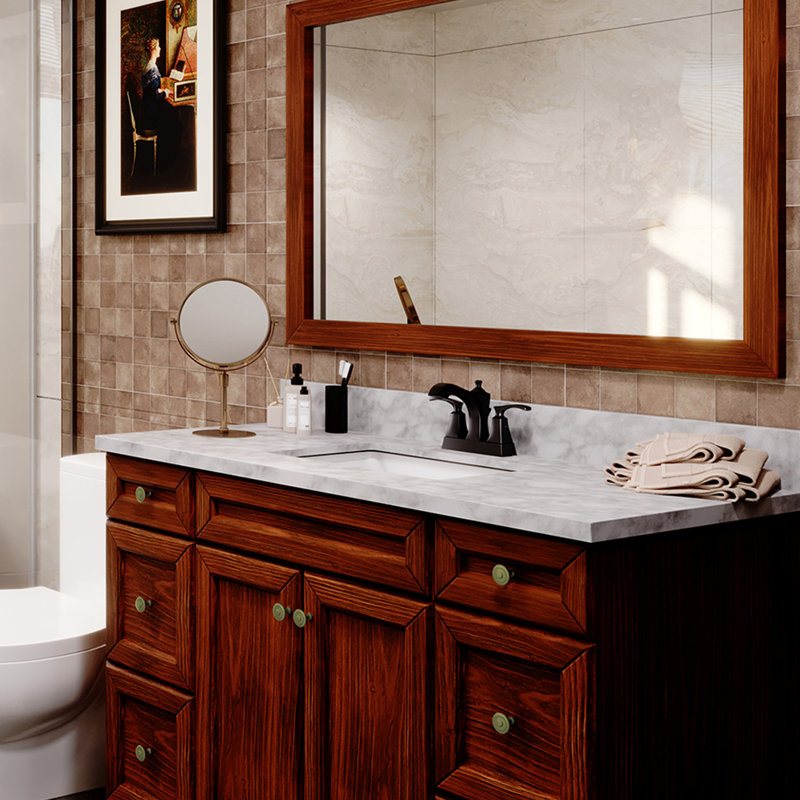 Wild 2-handle Bathroom Faucet with Drain Assembly