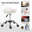 Lewey Adjustable Height Lab Stool Wheels-1502536233