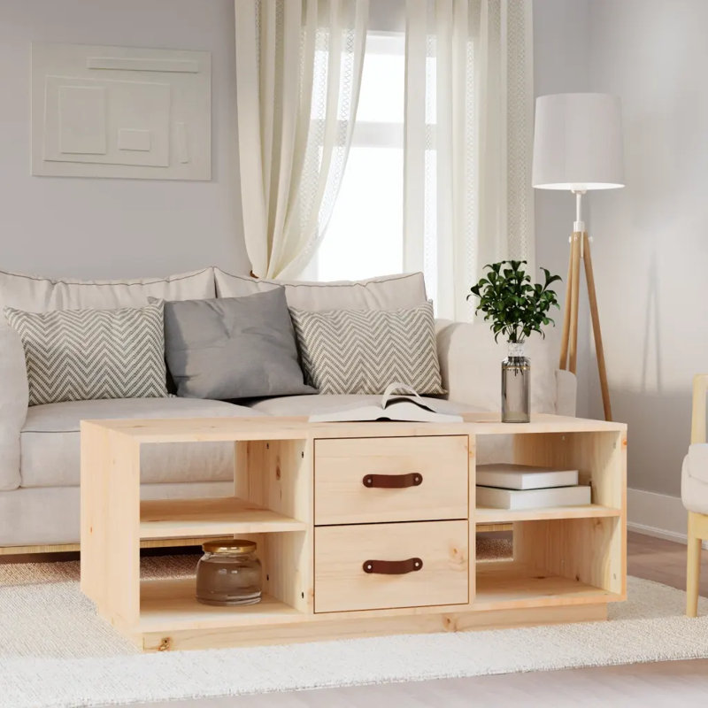 Schindler Solid Wood Solid Coffee Table with Storage, Brown