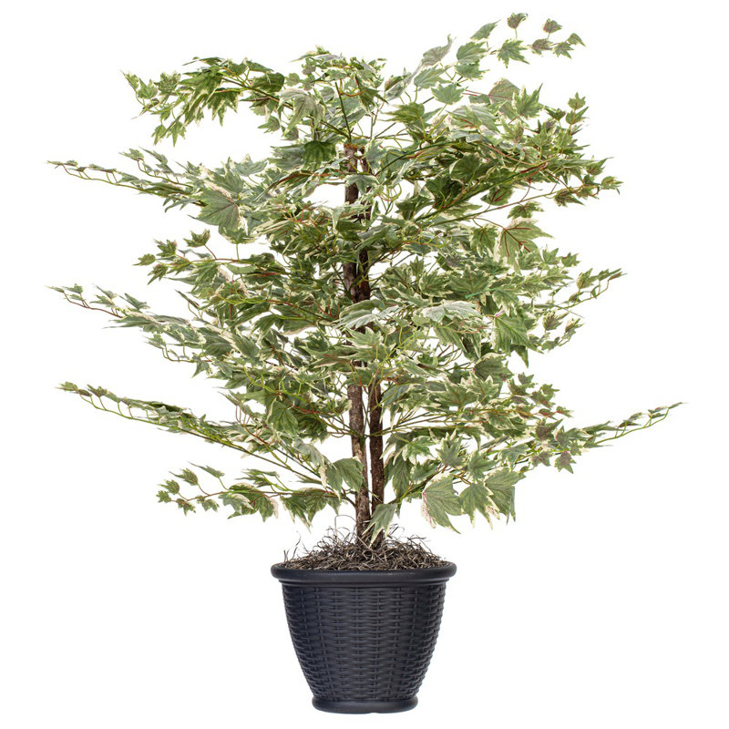 Artificial Silver Maple Series, Gray