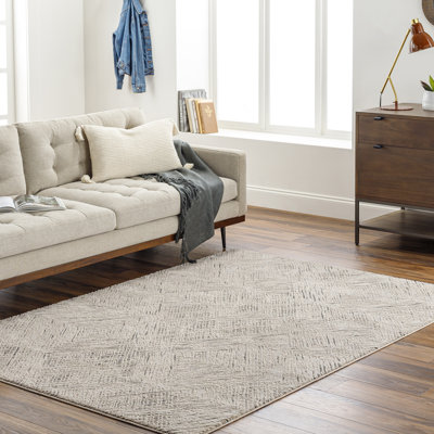 Jazline Light Grey Machine Washable Area Rug