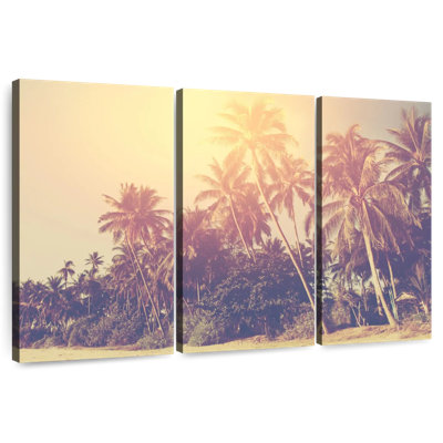Plage de palmiers Gilly Hazy