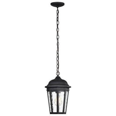 Lanterne suspendue d'extérieur noir mat 1 lumière H 14,5 po