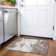Premium Machine Washable Diskin AMF1027 Modern Rug