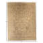 Rectangle Rectangle 8'9'' X 11'8'' Area Rug