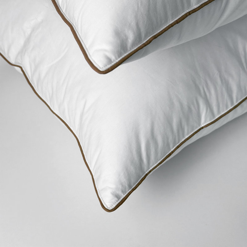 Ensemble de 2 coussins en plumes d'oie grise avec coussin 100% coton, housse 100% coton, Très grand lit