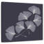 Feuilles Harnek Ginkgo Biloba-109358895