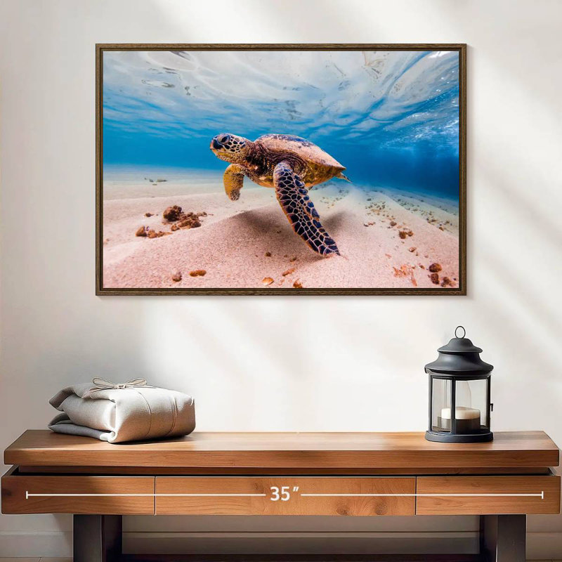 Tortue de sable, 25 po x 17 po, Cadre flottant noyer